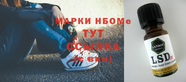 spice Болотное