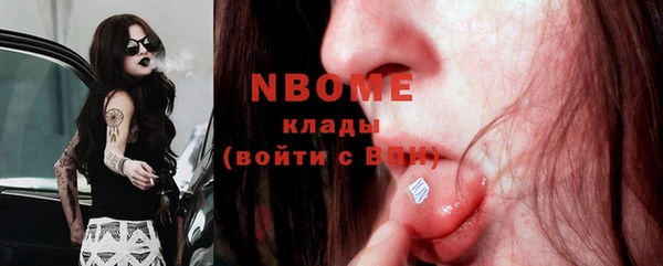 spice Болотное