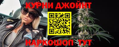 прущие грибы Ирбит