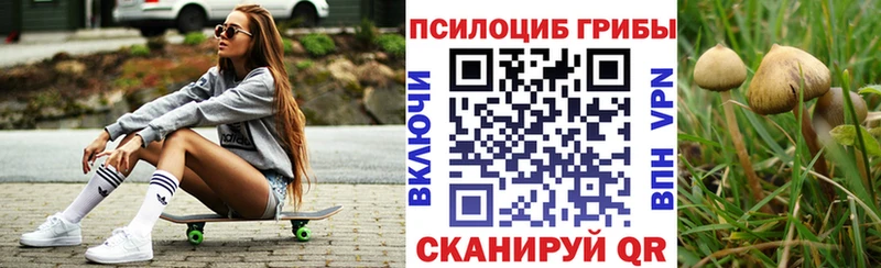 Галлюциногенные грибы Psilocybine cubensis  как найти наркотики  блэк спрут маркетплейс  Усолье-Сибирское 
