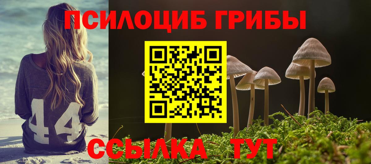 Псилоцибиновые грибы MAGIC MUSHROOMS Усолье-Сибирское