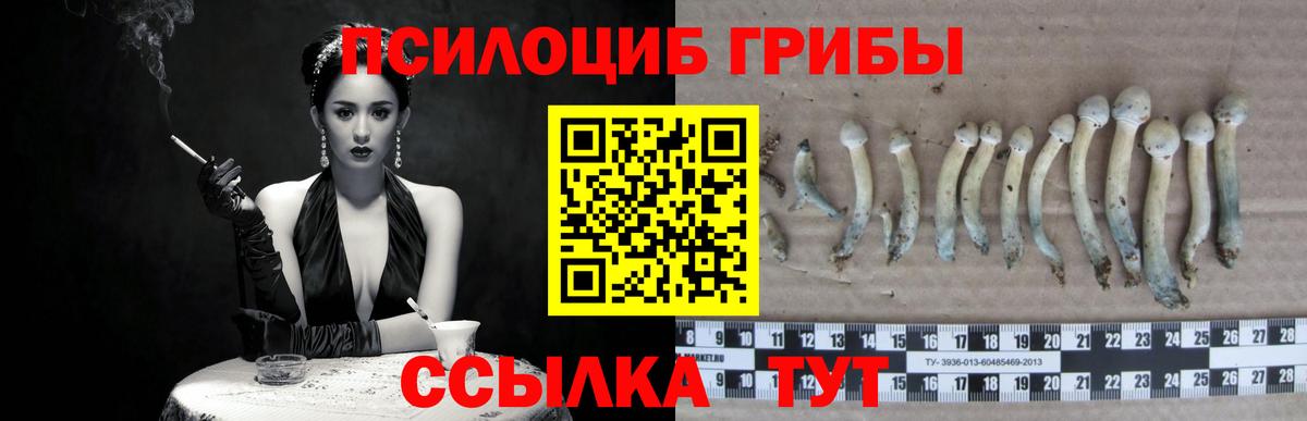 Псилоцибиновые грибы мицелий  Вход с VPN  Усолье-Сибирское 